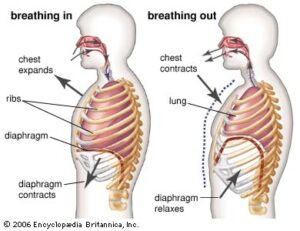 Deep breathing technique