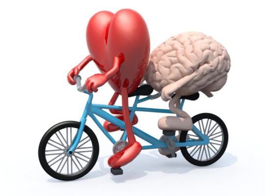Heart brain intelligence