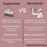 How dopamine and serotonin awareness may lead you to have great fitness?